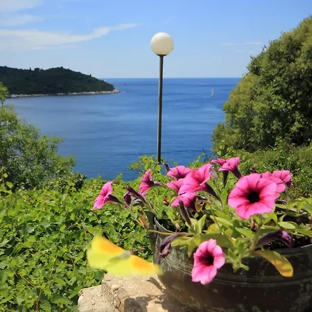 With Wifi - 9077 * Dubrovnik