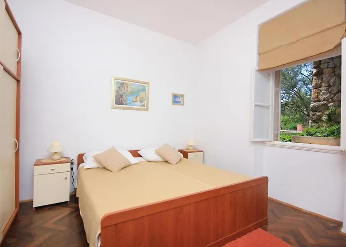 With Wifi - 9077 Appartement Dubrovnik